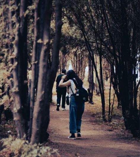 2022年4月入手国行佳能850D（18-...