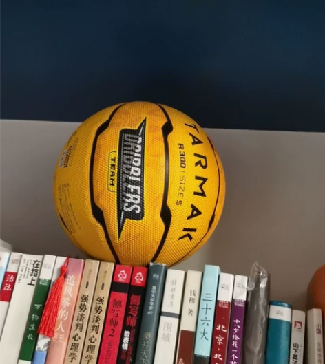 篮球，全新的 处于新奇买回来的，一直摆在书...