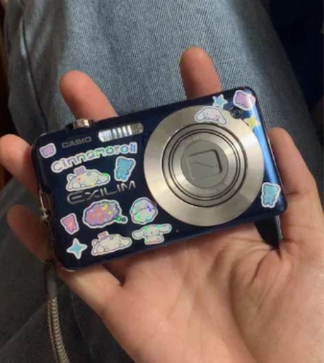 个人闲置 卡西欧s10数码相机ccd 10...