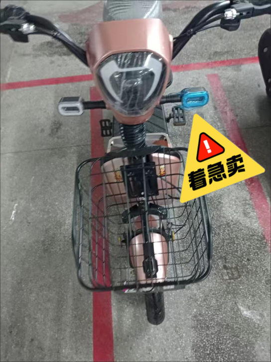 全新包邮新国标电动自行车成人电瓶车电动车小...