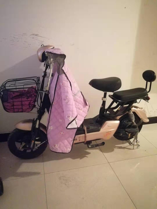 台铃电动车，48V12AH，轻微使用痕迹，...