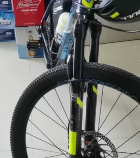 #XDS/喜德盛 2021新款传奇800...