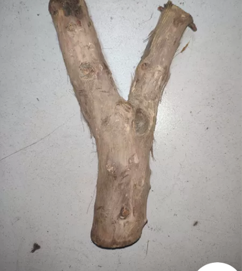 火琉璃弹弓原叉，毛胚原叉，剥了皮的老料火琉...