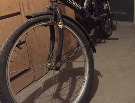 捡漏了,搬家不带走,金狮品牌可折叠自行车6...