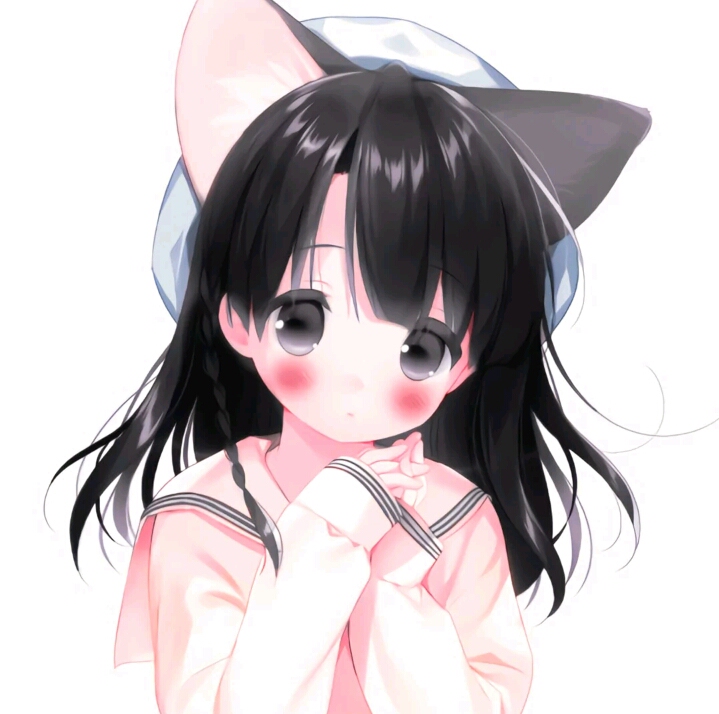 收虎斑猫黑切替小物！要全新的！