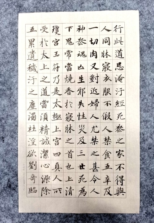 日课临习灵飞经一纸,有意者私,廉价闲抛闲掷...