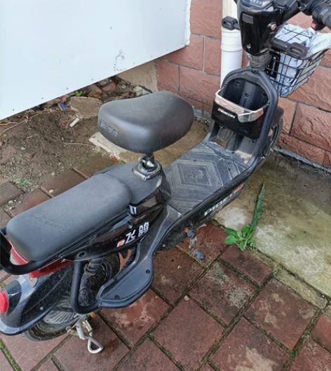 因回老家，现处置 800全部拿走！非诚勿扰...