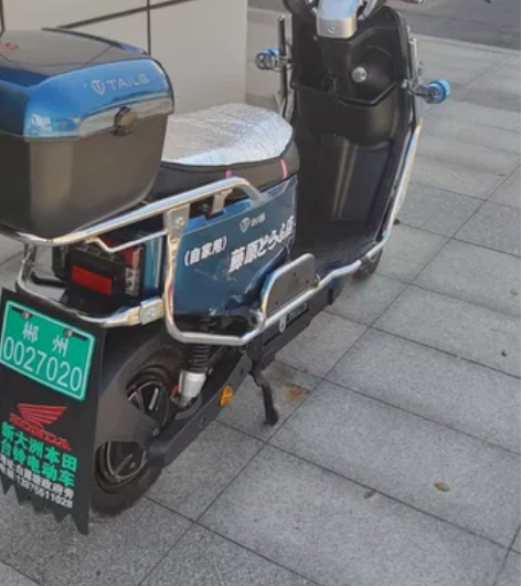 台铃国标电动车 已购买一年整，整车无任何毛...
