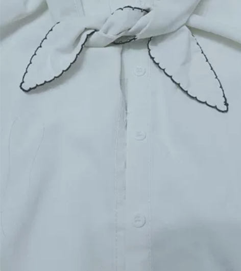 学院风白色百搭衬衫 衣服几乎全新，尺码L，...