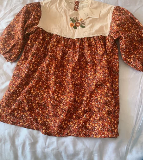 秋冬女童连衣裙 里面加绒 上身很好看 田园...