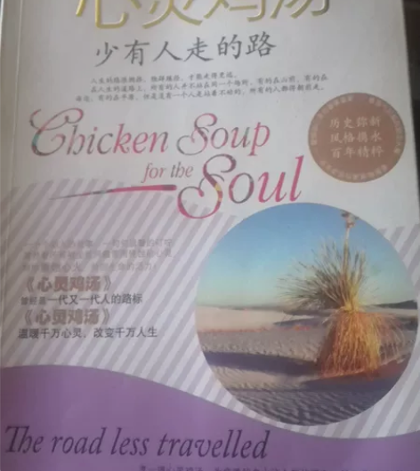 青春文学 《心灵鸡汤》 《流浪的星星很温柔...