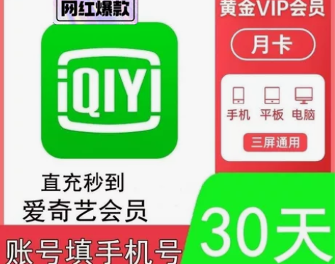 爱艺奇一个月vip会员 aqy爱奇艺黄金会...