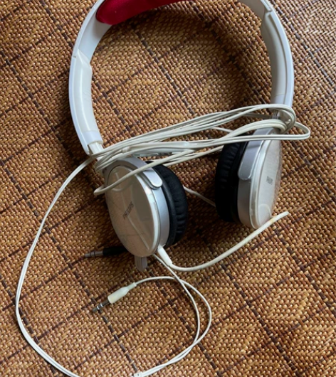 飞利浦带线耳机/网课神奇/包邮不议价 感兴...