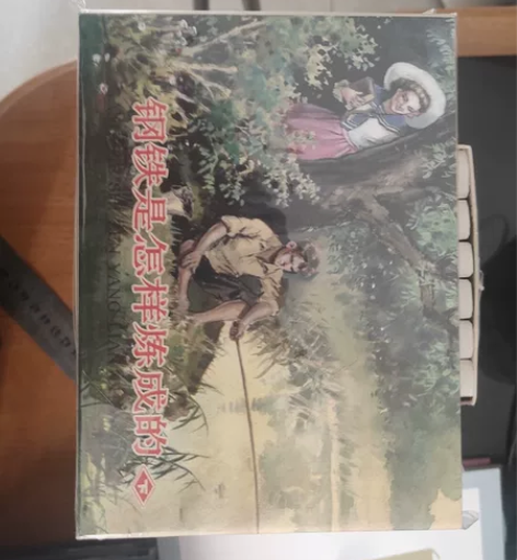 钢铁是怎样炼成的小精 感兴趣的话点“我想要...