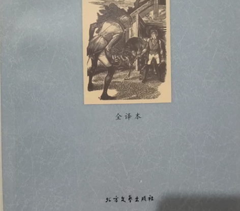 世界名著全译本呼啸山庄，几乎全新，只要5元...
