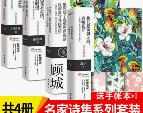 正版共4册 海子诗集汪国真顾城诗集戴望舒