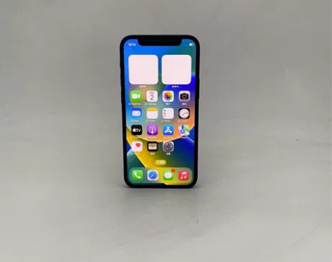 Apple/苹果 iPhone 12 mi...