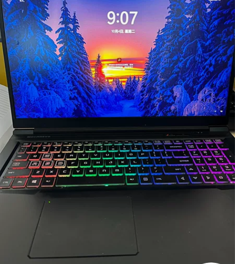 17.3屏幕  i7  1660Ti   ...