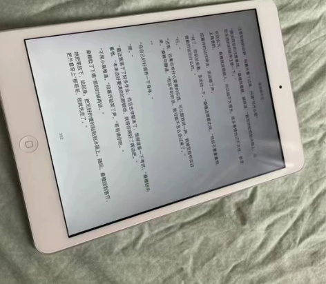 自用的苹果平板Mini2  上网课玩游戏都...