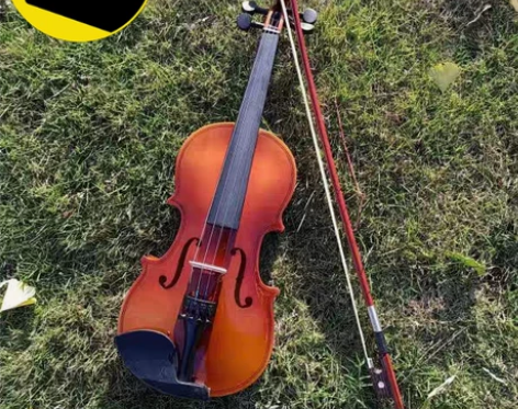 【全新捡漏】手工实木小提琴初学考级演奏琴儿...