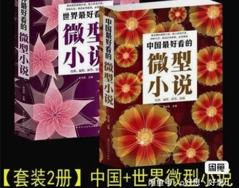 中国最好看的微型小说(单卷)世界最好看的微...
