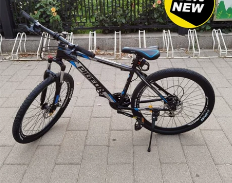 自己车行不开了飞鸽官方旗舰店山地自行车成年...