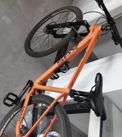 喜德盛xds，侠客600，今年4月份买回来...