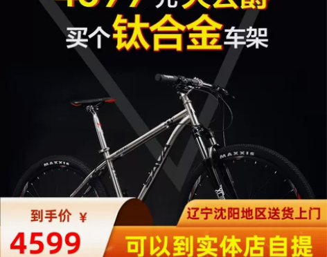 SAVA萨瓦黑爵钛合金山地车自行车男女新品...