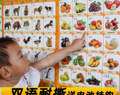 宝宝启蒙早教发音幼儿童学习认知有声挂图发声...