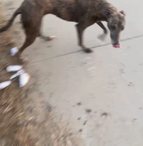 雅马哈摩托车125户外神器 感兴趣的话点“...