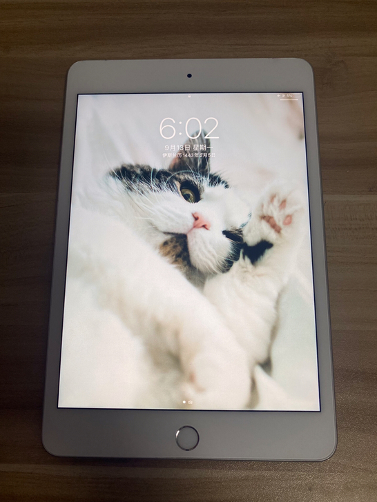 iPadmini5代64gwifi+4g插...