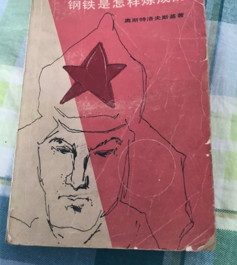 钢铁是怎样炼成的，奥斯特洛夫斯基，八零年人...