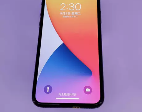 ?iPhone X 256G 9新 苹果二...