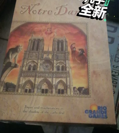巴黎圣母院英文版，几乎全新，带卡套，搬家没...