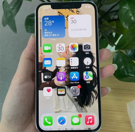 苹果12Pro，12Promax 银白色 ...