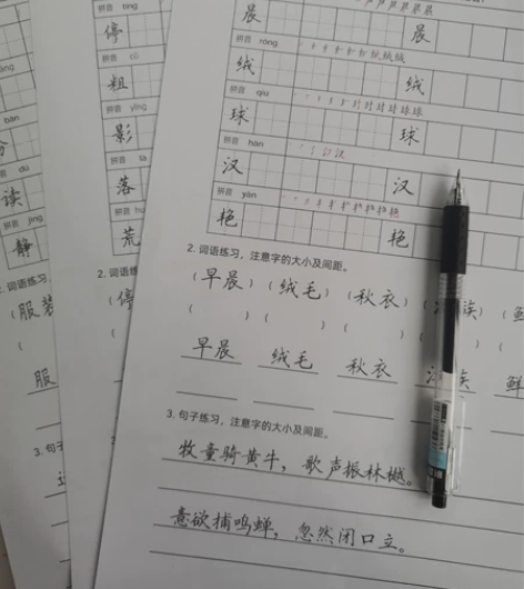 小学硬笔书法楷书考试卷面书写提分练习店子文...