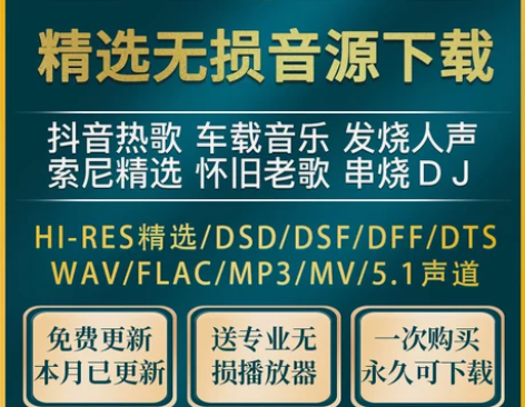 DSD无损音源车载音乐下载包HIRES高品...