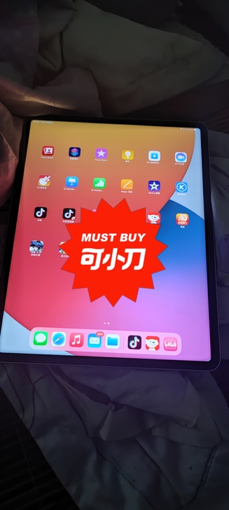 刚买的ipad12.9 2021款