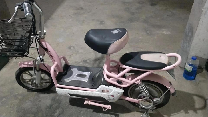绿源电动车48V 12A 电瓶专卖店够买没...