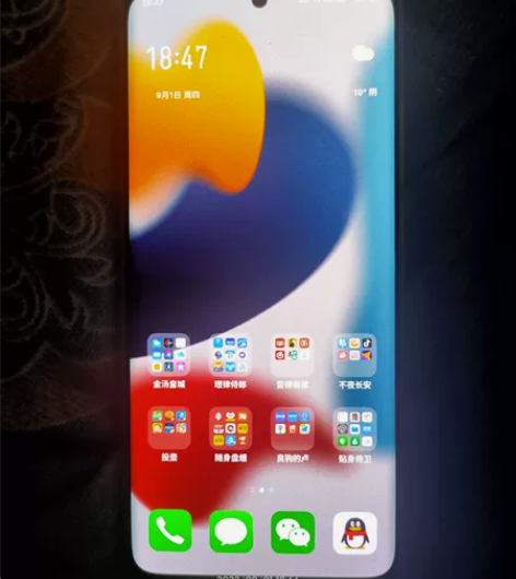 珠海小厂魅族18,屏幕底部抖音+号烧屏。不...