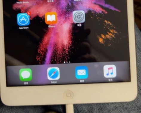 国行iPad mini1 16G自带安装了...