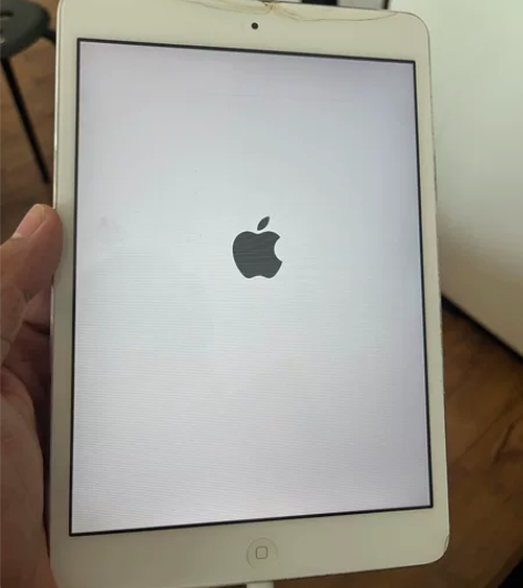 iPad mini A1489 闲置，外屏...
