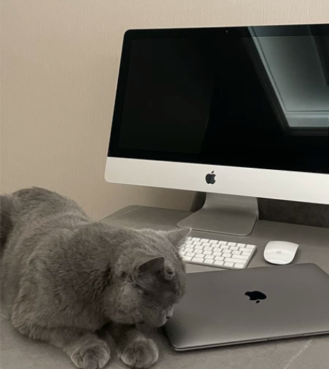 iMac 21.5 Retina4k 苹果...