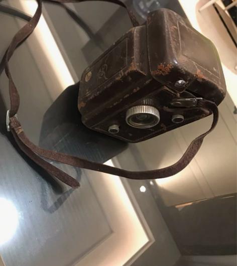 海鸥、 感兴趣的话点“我想要”和我私聊吧～...