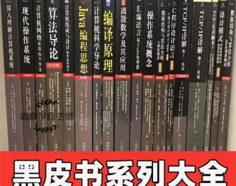 黑皮书系列大全 深入理解计算机系统算法导论...