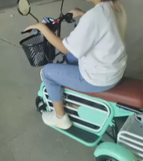 全新飞鸽电动车，嫩绿色，锂电池48V-10...