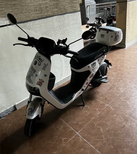 九号c65/九号电动车新c65/新国标 2...