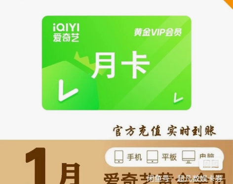 爱奇艺vip会员月卡 一个月会员 爱奇艺黄...