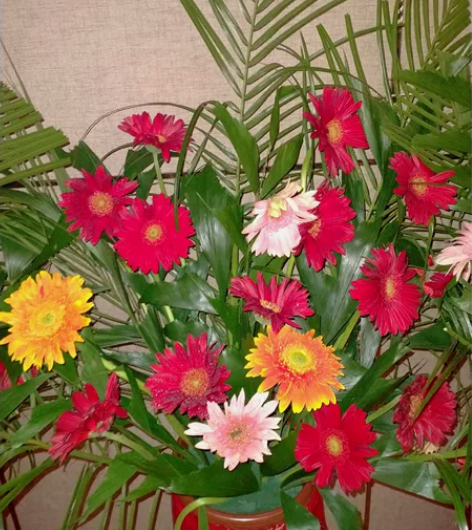 开业花篮 鲜花的有十多个 感兴趣的话点“我...