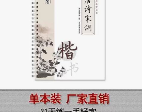 正楷字帖楷书练字帖小学生初中高中生楷体练字...